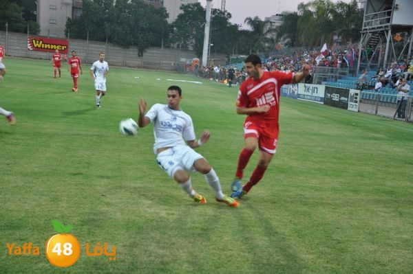 koraludn5478339 (10).JPG